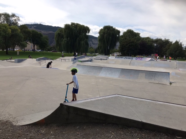 Skateboard Park - Colleen Stainton